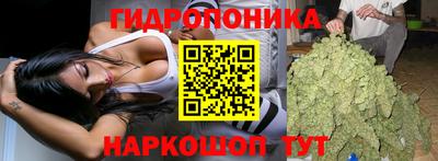 спайс Гусь-Хрустальный
