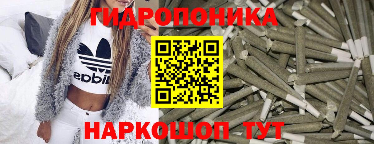 A PVP Нижнекамск